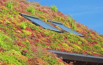 Oakington living roof systems